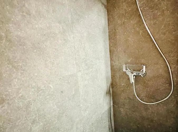 Entre Catedrales Grupo Ac Gestion * Cadice